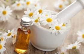 chamomile oil for anxiety