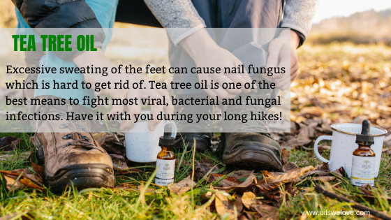 Tea tree oil For Nail Fungus