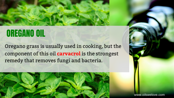 Oregano oil For Nail Fungus