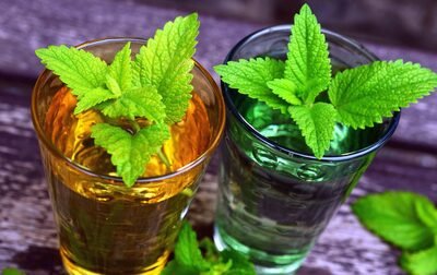 lemon balm tea for anxiety