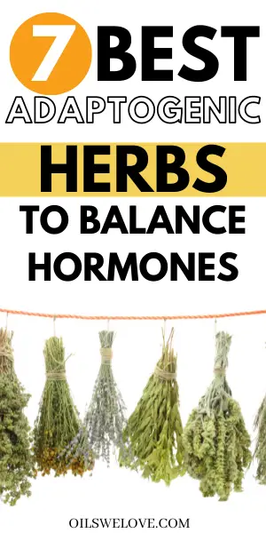 7-adaptogenic-herbs