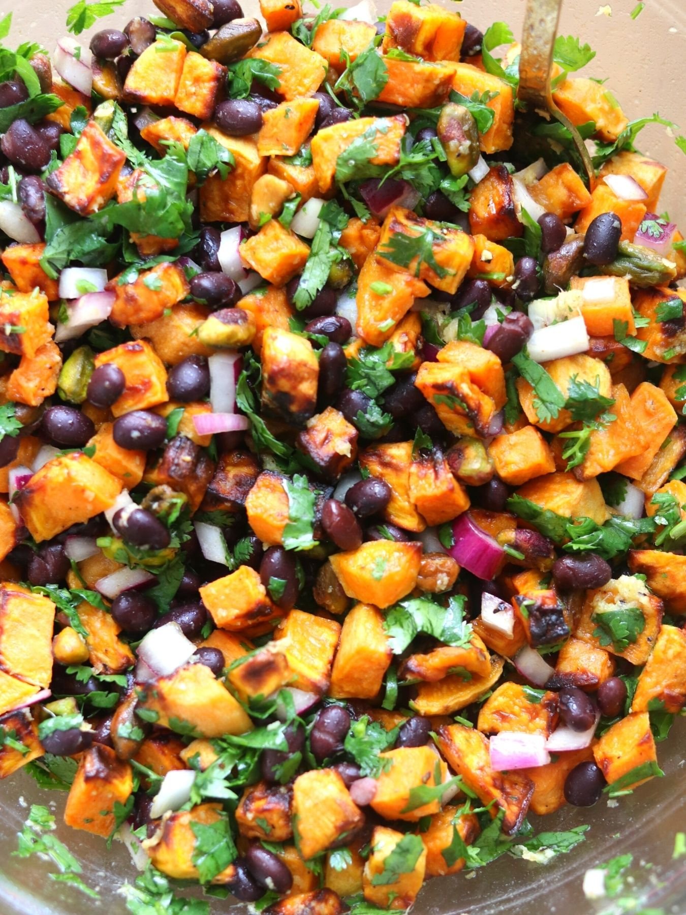 Roasted Sweet Potato and Black Bean Salad 2