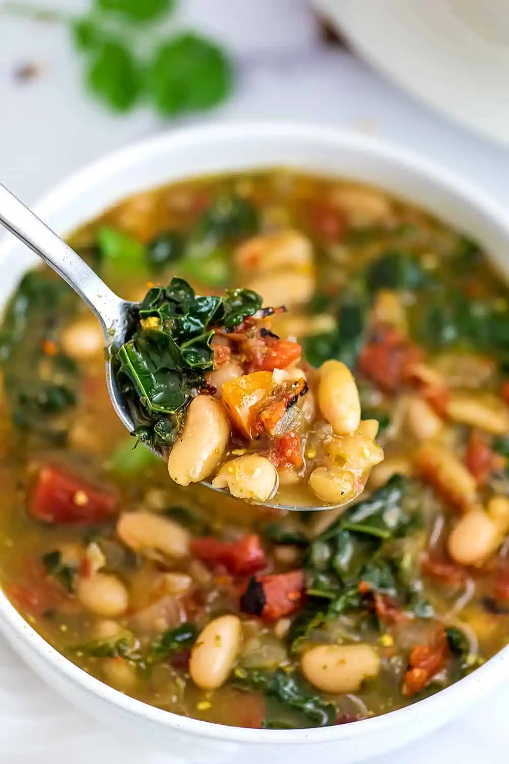 Spicy White Bean Stew