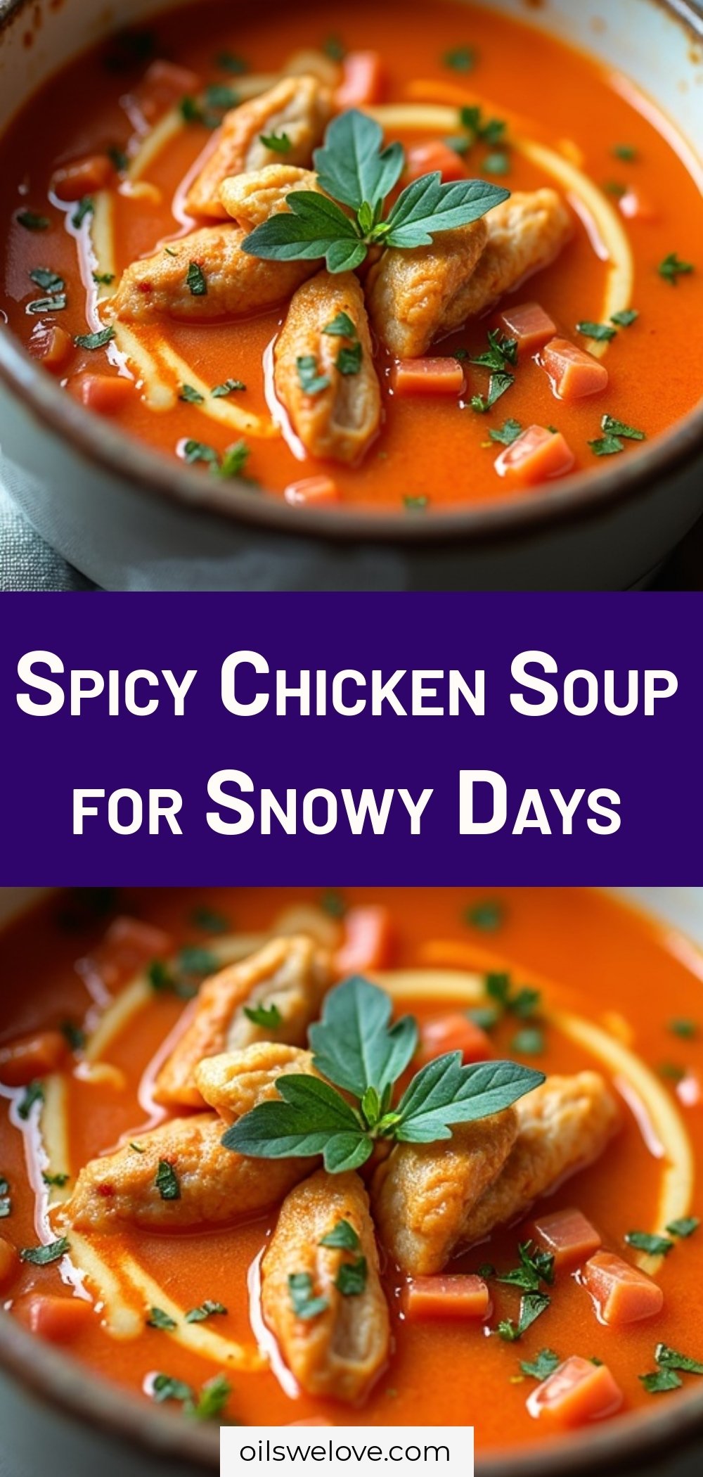 Spicy Chicken Soup for Snowy Days