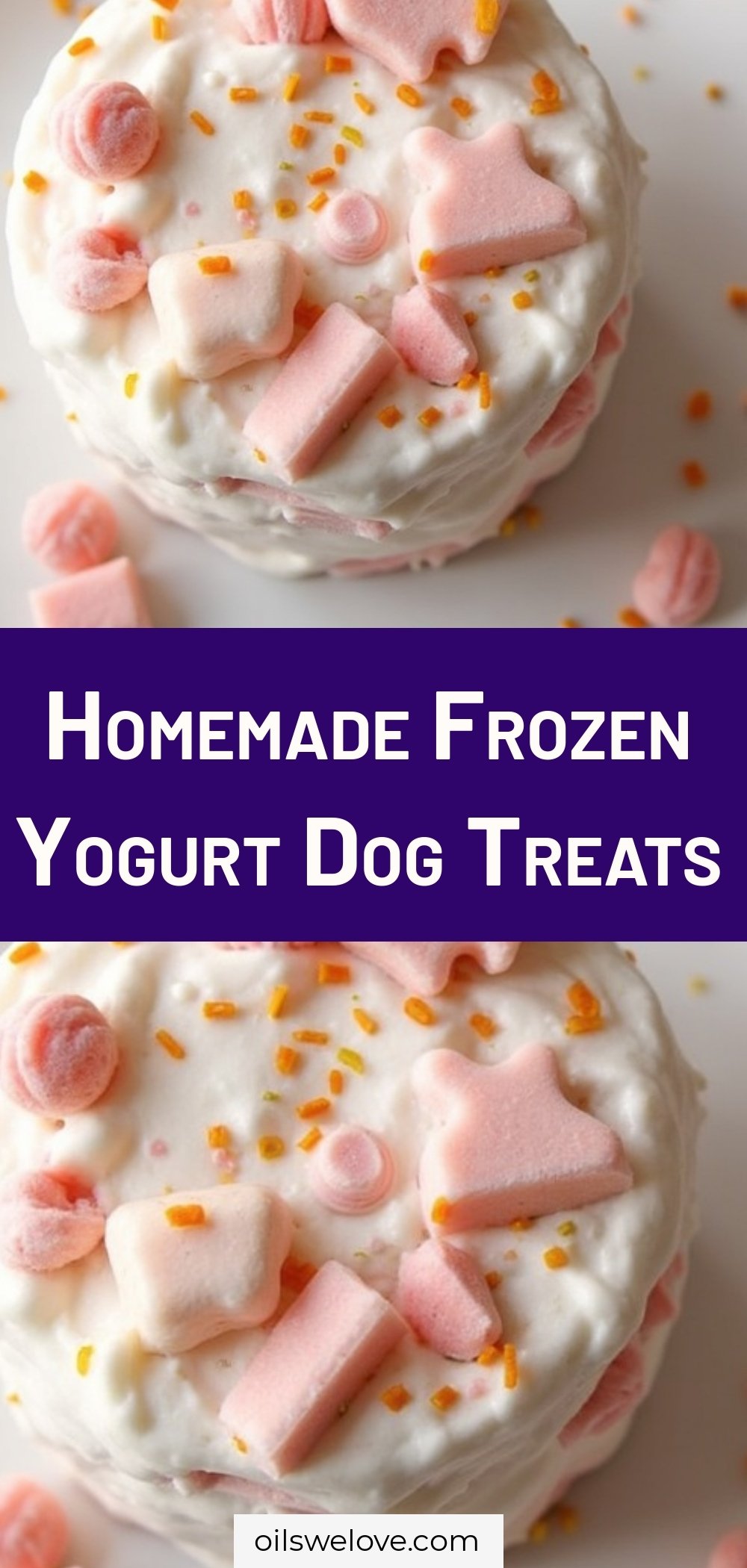 Homemade Frozen Yogurt Dog Treats