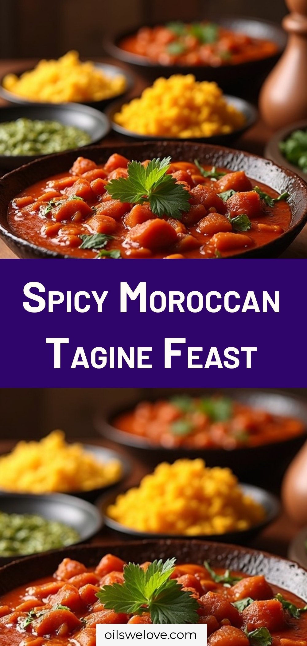Spicy Moroccan Tagine Feast