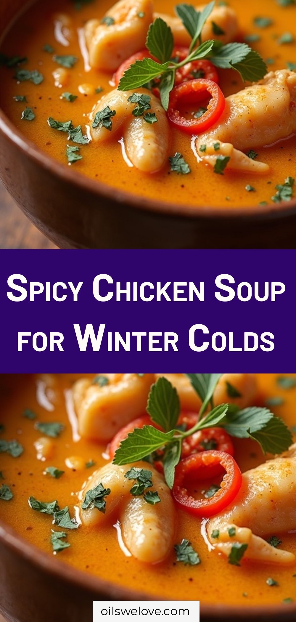 Spicy Chicken Soup for Winter Colds