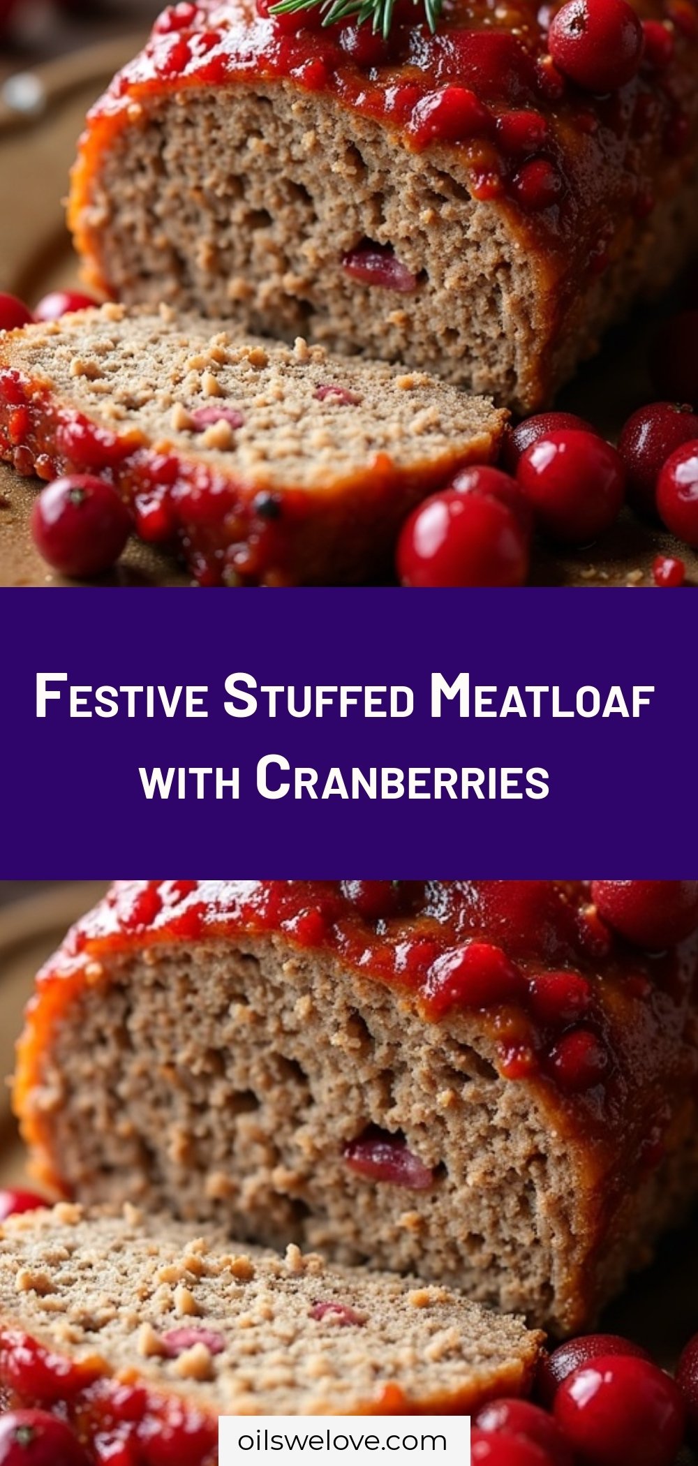 Festive Stuffed Meatloaf with Cranberries
