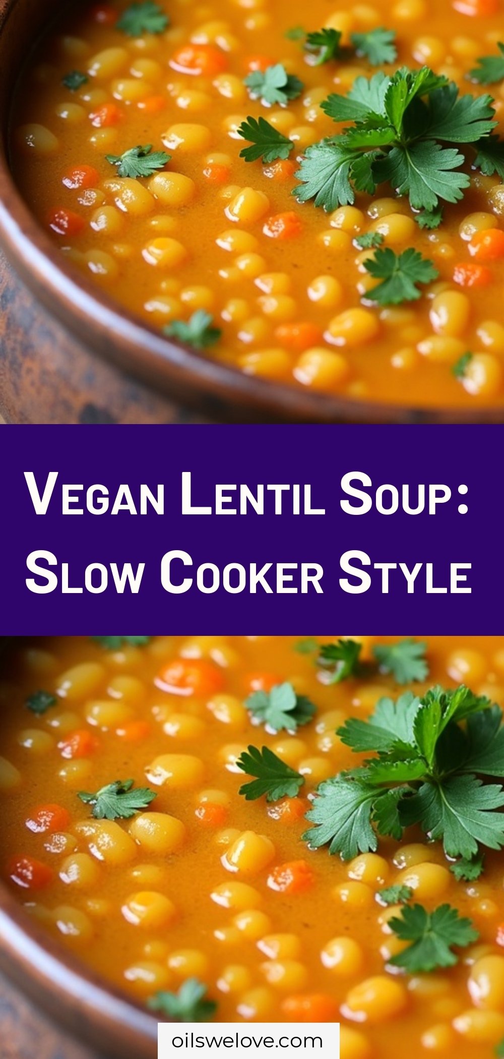 Vegan Lentil Soup: Slow Cooker Style