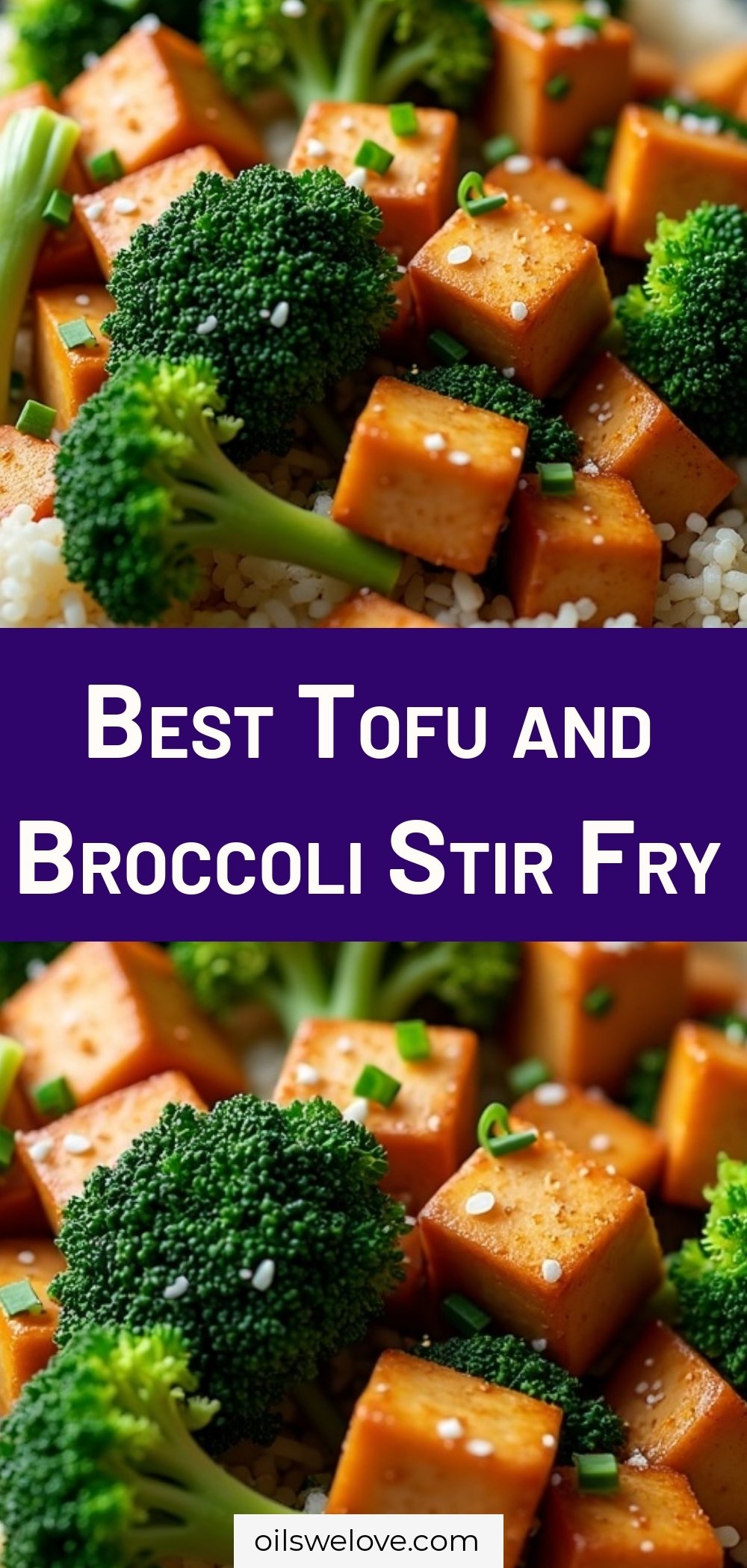Best Tofu and Broccoli Stir Fry