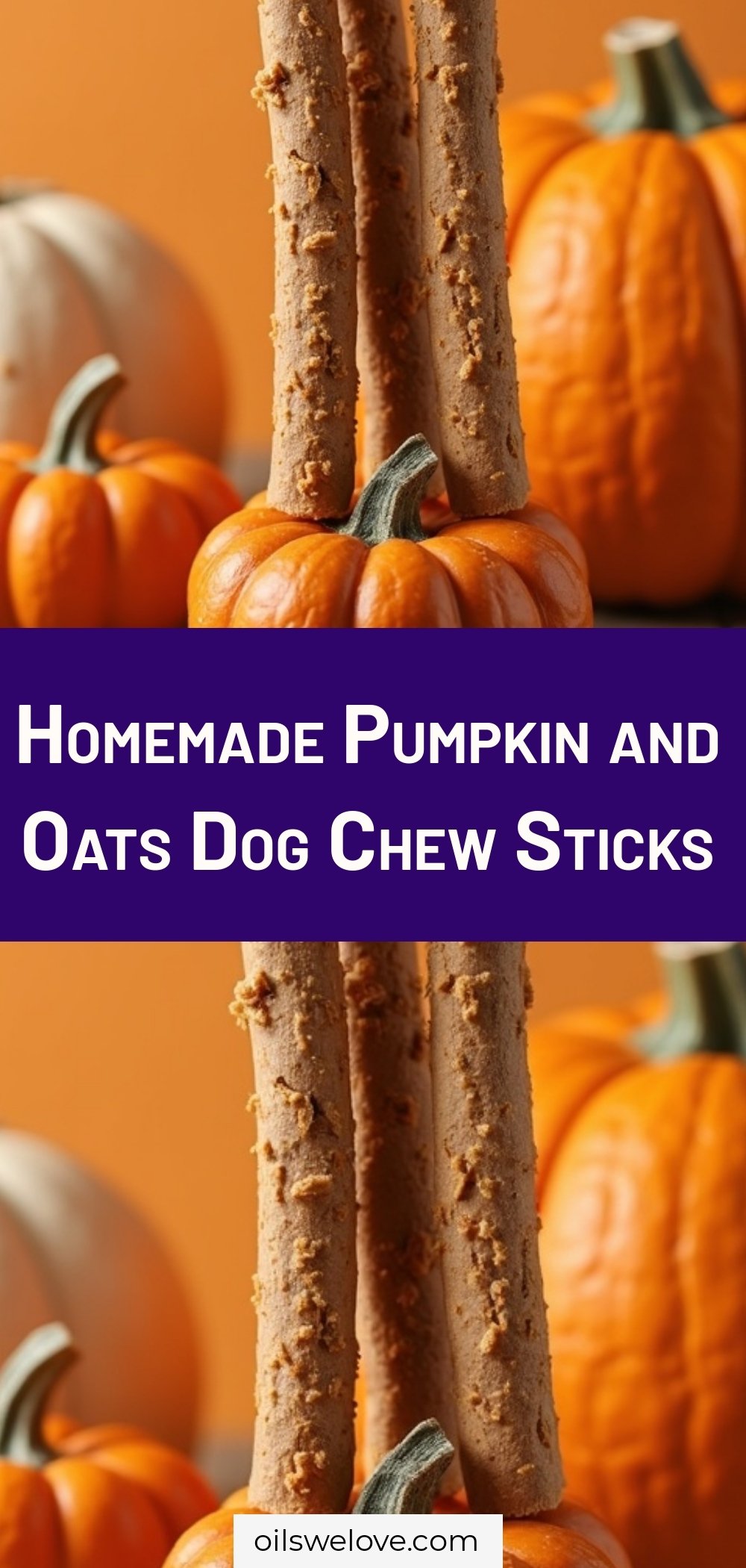 Homemade Pumpkin and Oats Dog Chew Sticks
