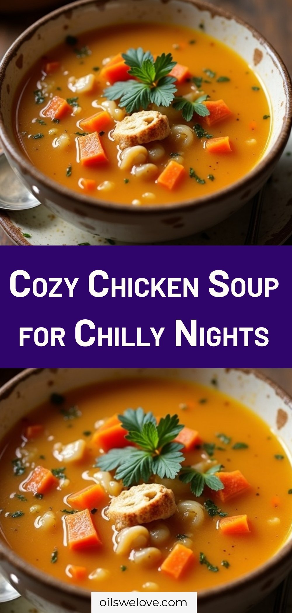 Cozy Chicken Soup for Chilly Nights