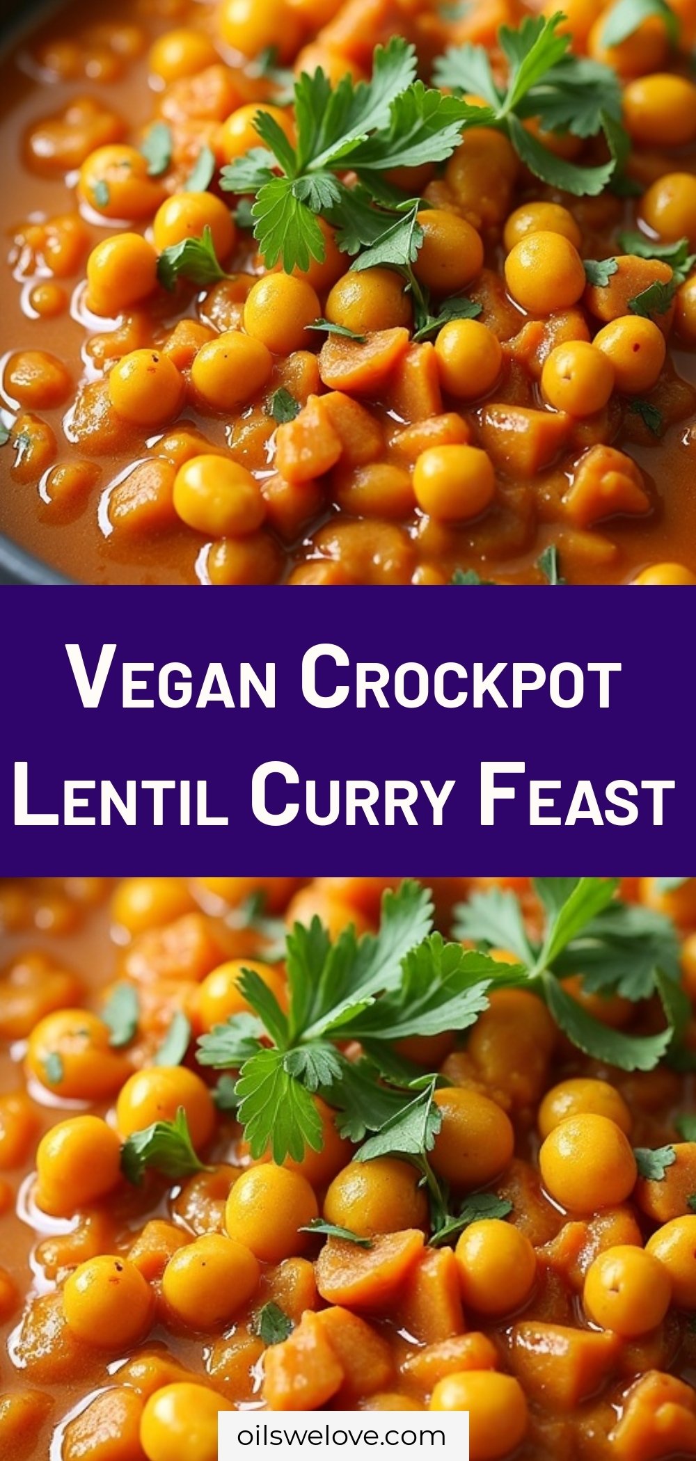 Vegan Crockpot Lentil Curry Feast