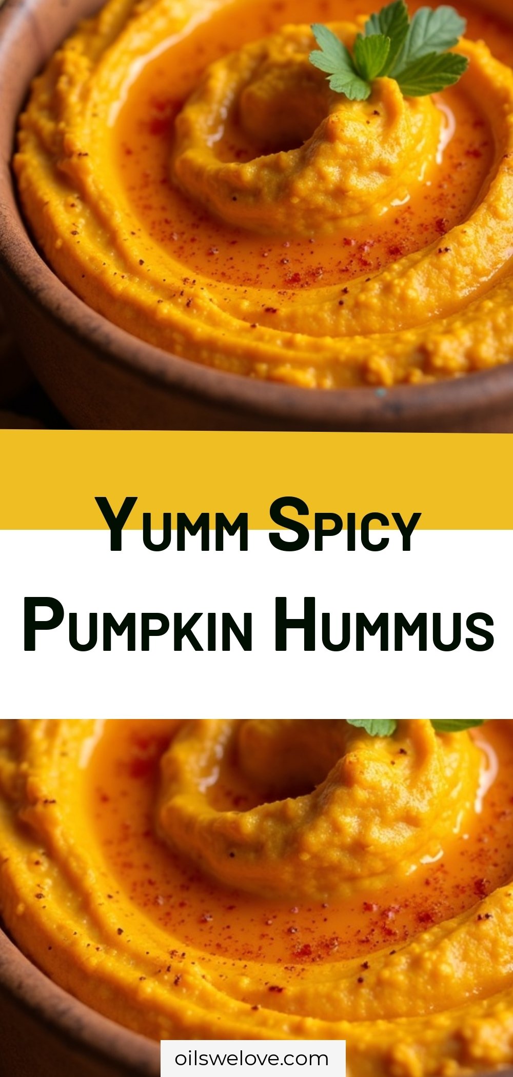Yumm Spicy Pumpkin Hummus